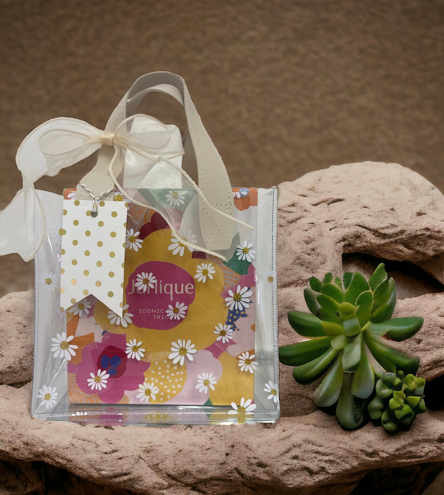 Face Trio Set (Foaming Cleanser, Activating Water & Day cream) Organic from Australia (Wrapped & Ready)